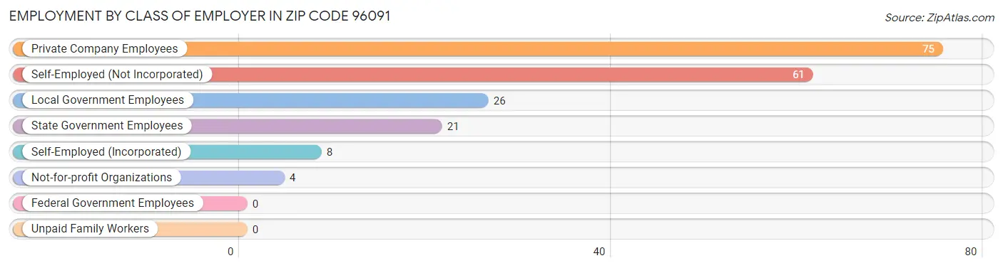 Employment by Class of Employer in Zip Code 96091