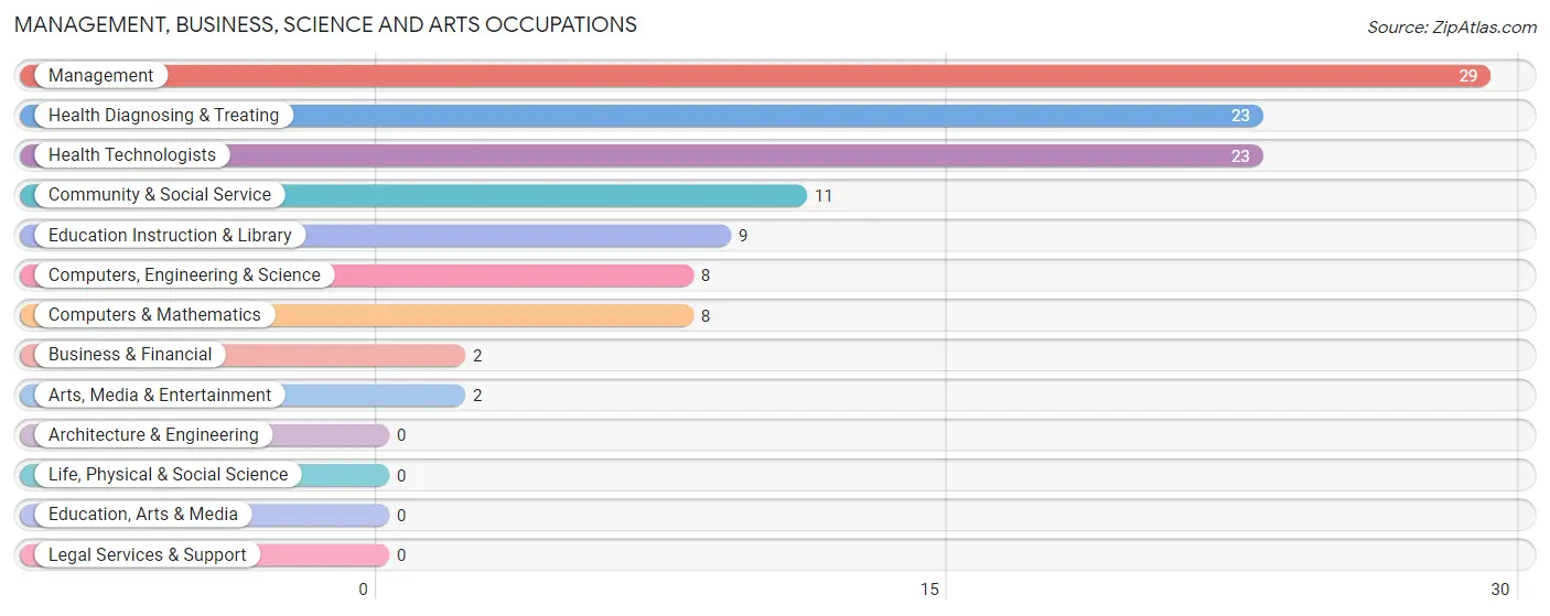 Management, Business, Science and Arts Occupations in Zip Code 96091