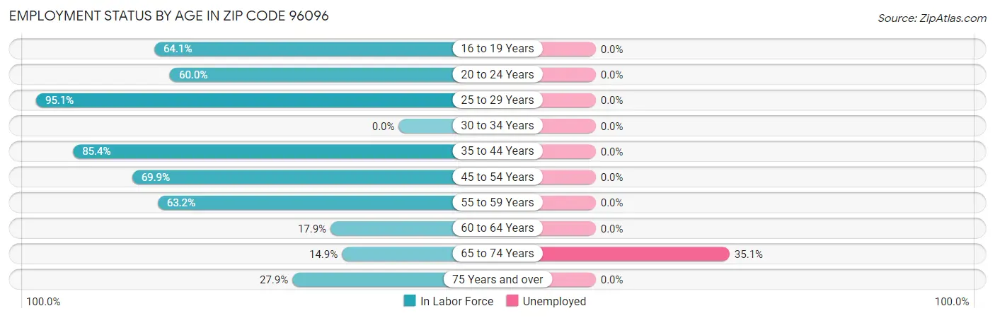 Employment Status by Age in Zip Code 96096