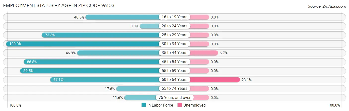 Employment Status by Age in Zip Code 96103