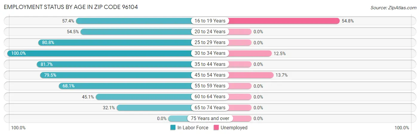 Employment Status by Age in Zip Code 96104