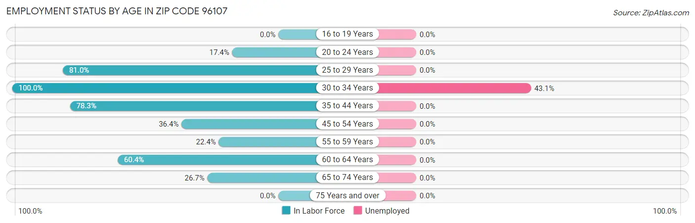 Employment Status by Age in Zip Code 96107