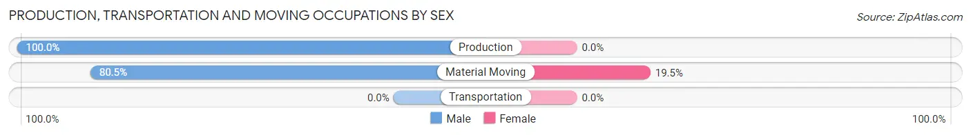 Production, Transportation and Moving Occupations by Sex in Zip Code 96109