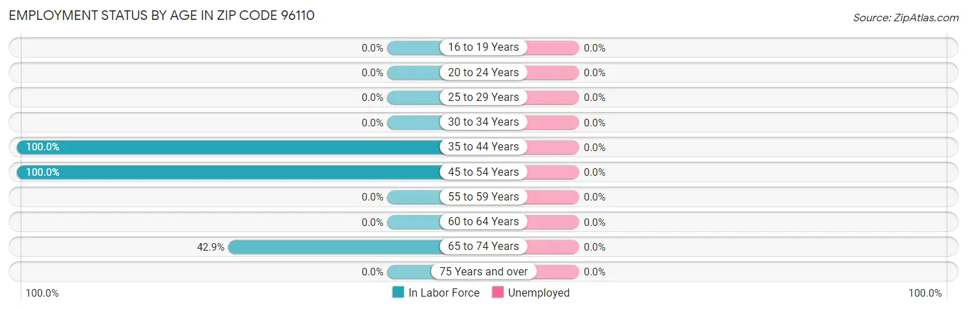 Employment Status by Age in Zip Code 96110