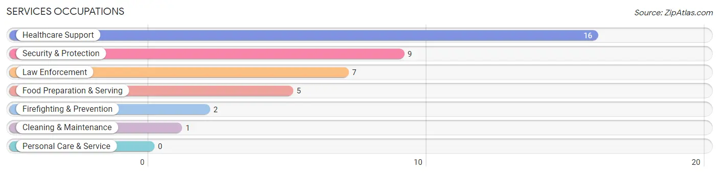 Services Occupations in Zip Code 96113