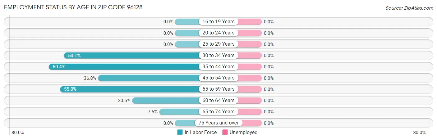 Employment Status by Age in Zip Code 96128