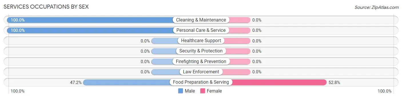 Services Occupations by Sex in Zip Code 96141