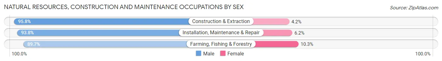 Natural Resources, Construction and Maintenance Occupations by Sex in Zip Code 96707