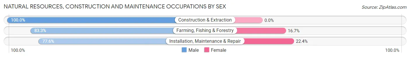 Natural Resources, Construction and Maintenance Occupations by Sex in Zip Code 96708