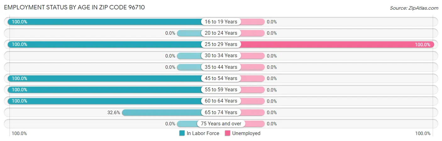 Employment Status by Age in Zip Code 96710