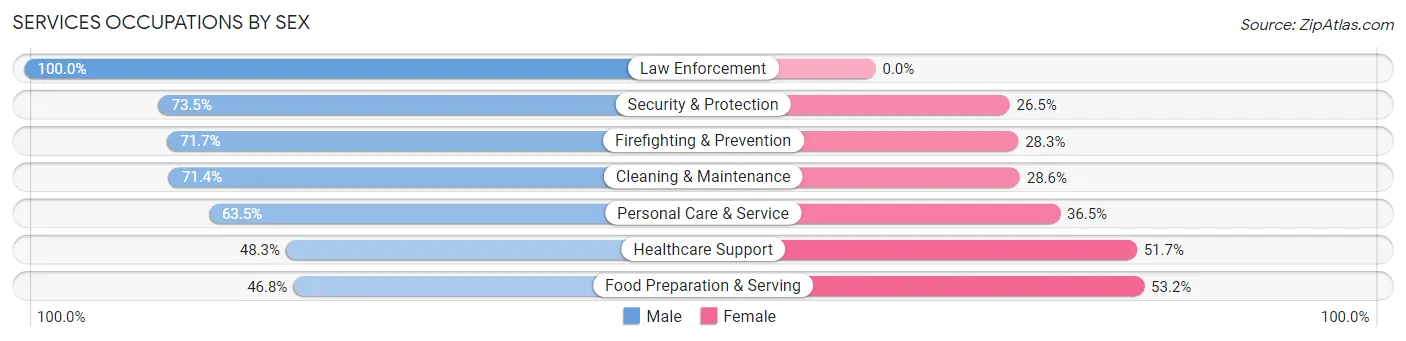 Services Occupations by Sex in Zip Code 96717
