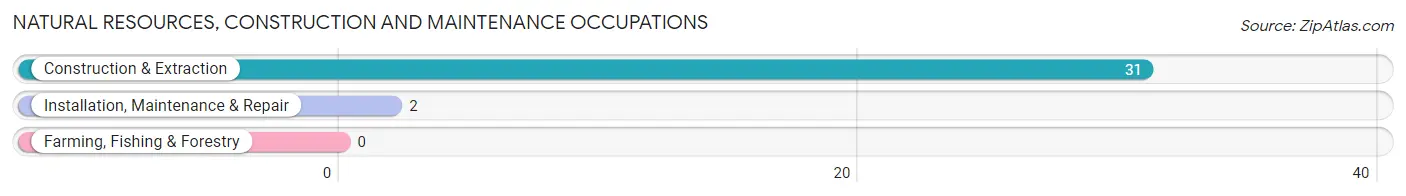 Natural Resources, Construction and Maintenance Occupations in Zip Code 96719