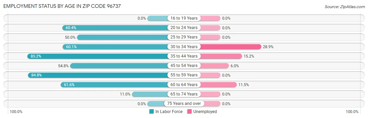 Employment Status by Age in Zip Code 96737