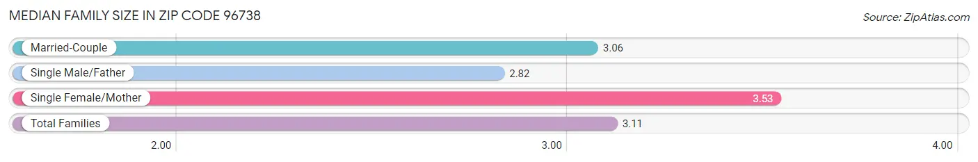 Median Family Size in Zip Code 96738