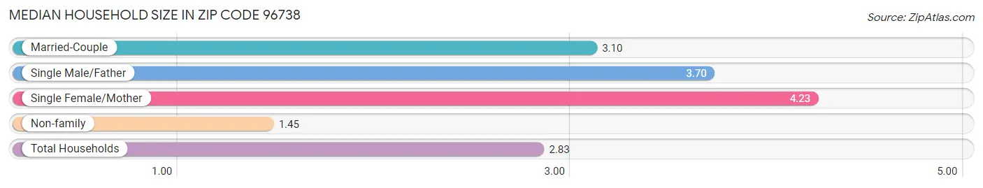 Median Household Size in Zip Code 96738