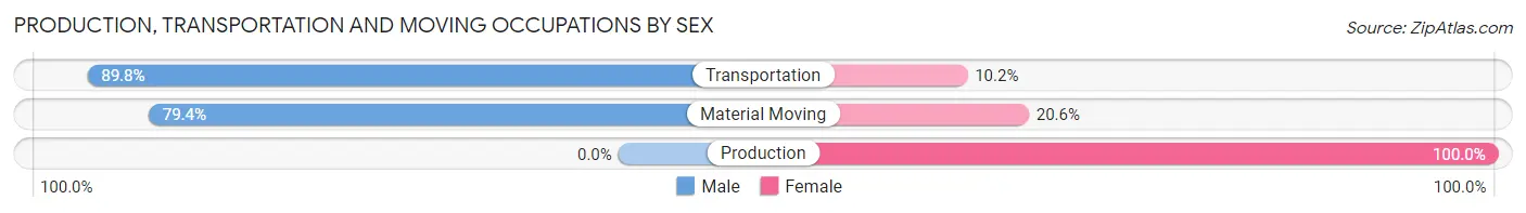 Production, Transportation and Moving Occupations by Sex in Zip Code 96738