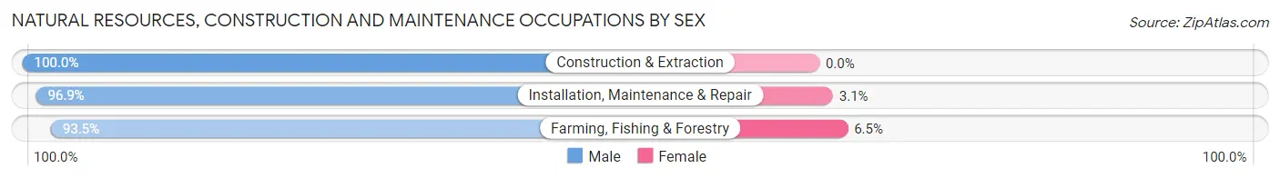 Natural Resources, Construction and Maintenance Occupations by Sex in Zip Code 96740