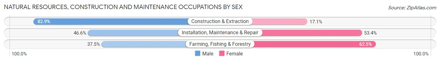 Natural Resources, Construction and Maintenance Occupations by Sex in Zip Code 96748