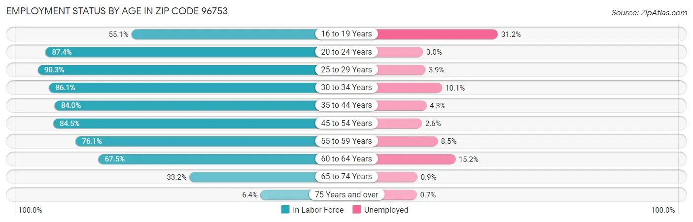 Employment Status by Age in Zip Code 96753