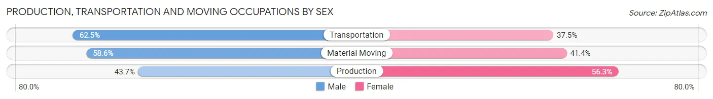 Production, Transportation and Moving Occupations by Sex in Zip Code 96771