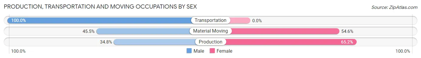 Production, Transportation and Moving Occupations by Sex in Zip Code 96781
