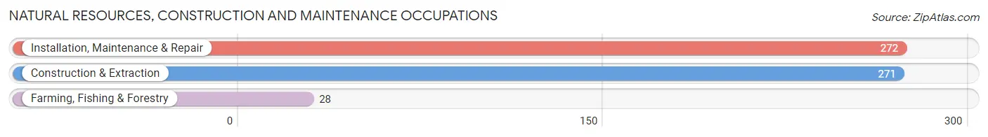 Natural Resources, Construction and Maintenance Occupations in Zip Code 97009