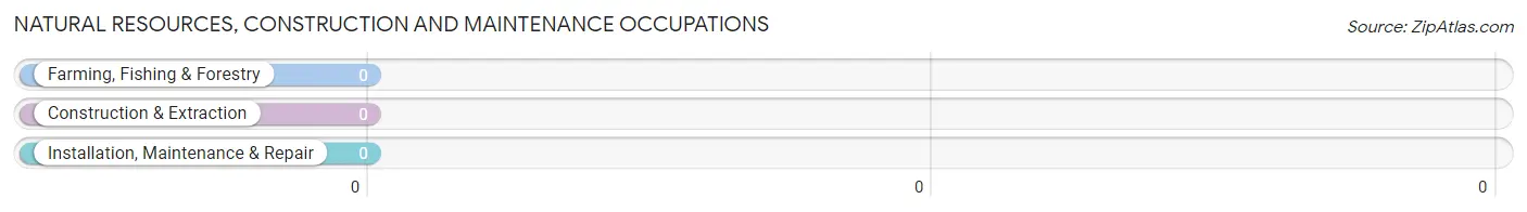 Natural Resources, Construction and Maintenance Occupations in Zip Code 97329