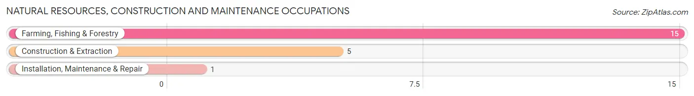 Natural Resources, Construction and Maintenance Occupations in Zip Code 97347