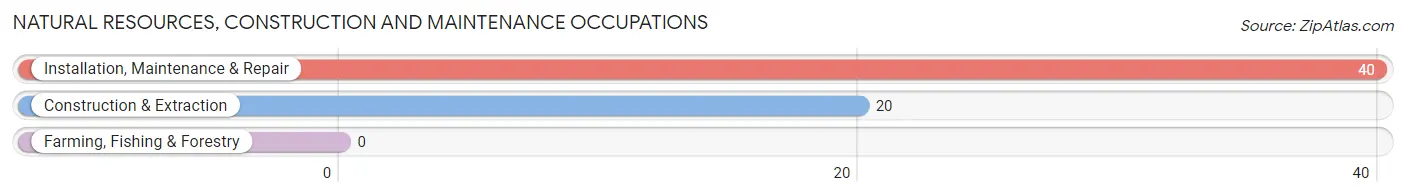 Natural Resources, Construction and Maintenance Occupations in Zip Code 97376