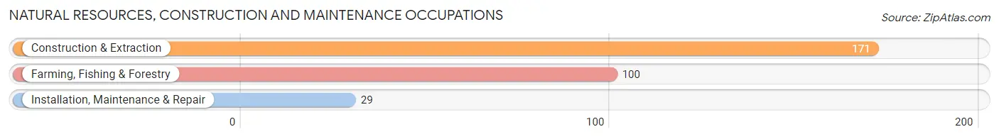 Natural Resources, Construction and Maintenance Occupations in Zip Code 97391