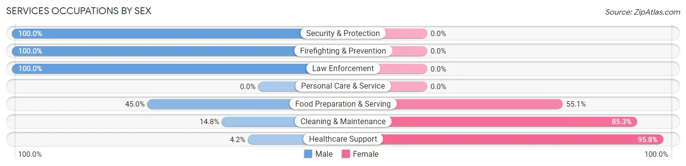 Services Occupations by Sex in Zip Code 97479