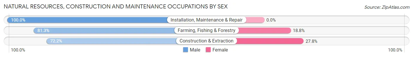 Natural Resources, Construction and Maintenance Occupations by Sex in Zip Code 97499