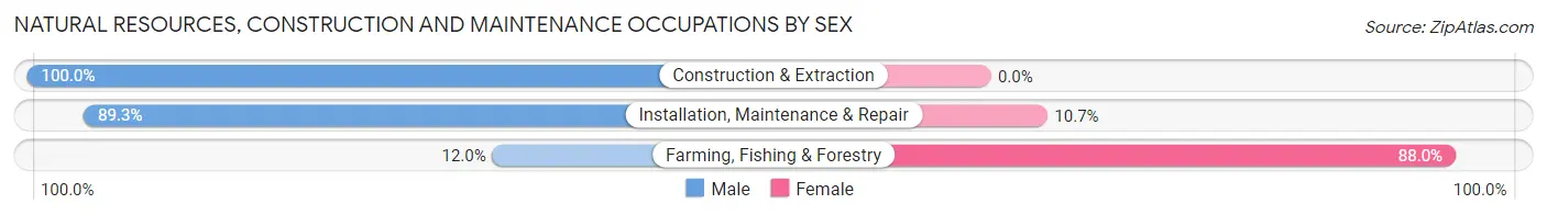 Natural Resources, Construction and Maintenance Occupations by Sex in Zip Code 97520
