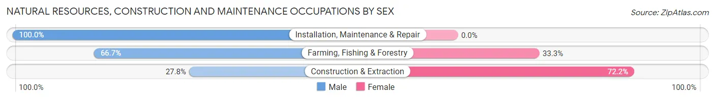 Natural Resources, Construction and Maintenance Occupations by Sex in Zip Code 97540