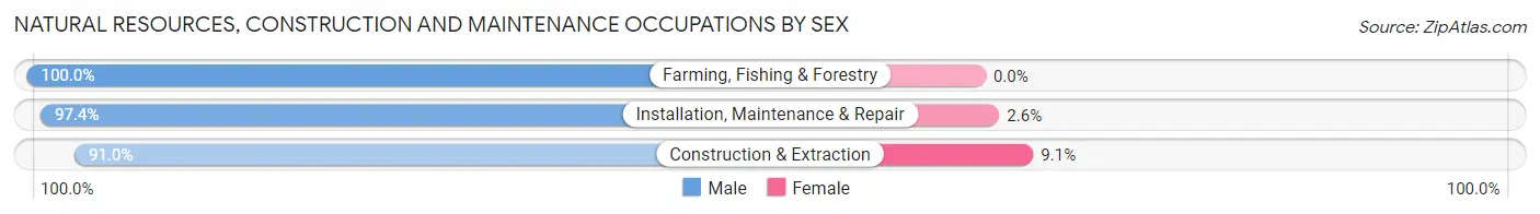 Natural Resources, Construction and Maintenance Occupations by Sex in Zip Code 97601
