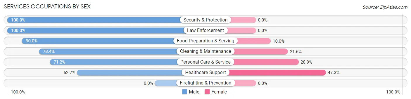 Services Occupations by Sex in Zip Code 97707