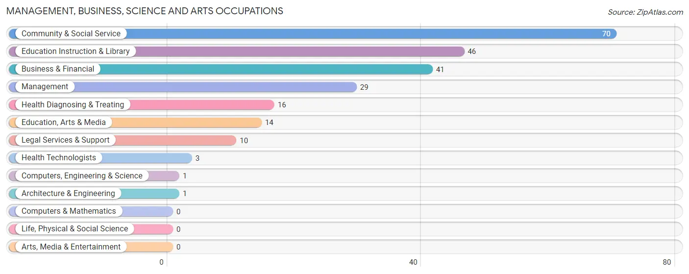 Management, Business, Science and Arts Occupations in Zip Code 97875