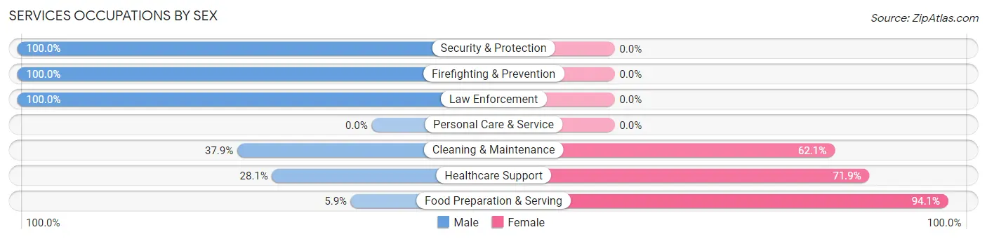 Services Occupations by Sex in Zip Code 97875