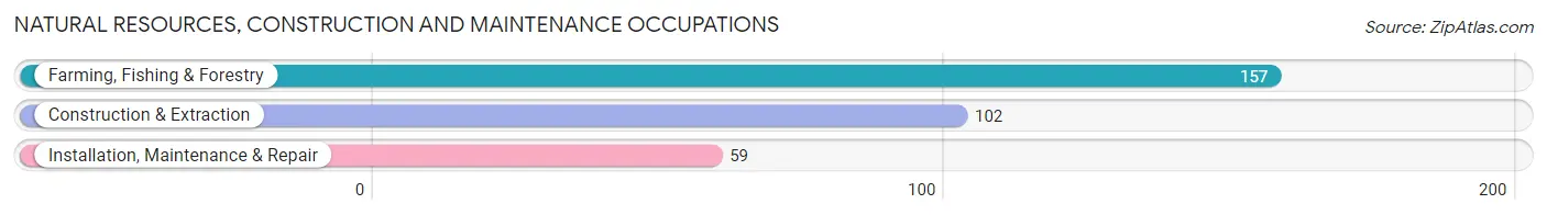 Natural Resources, Construction and Maintenance Occupations in Zip Code 97918