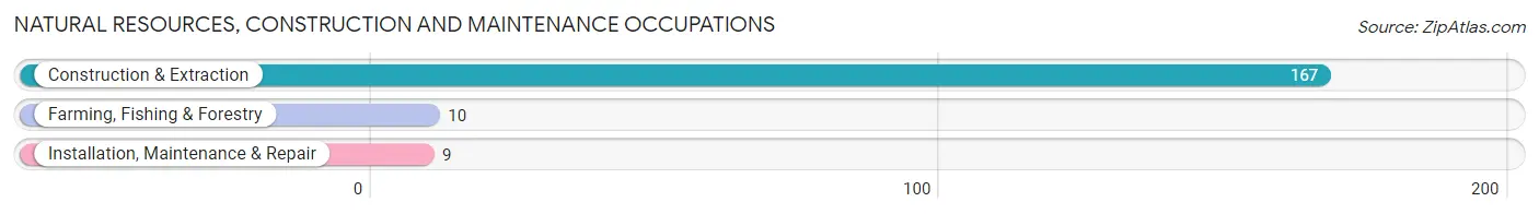 Natural Resources, Construction and Maintenance Occupations in Zip Code 98005