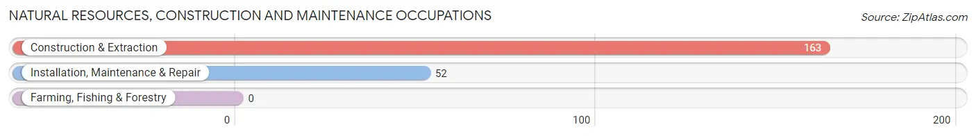 Natural Resources, Construction and Maintenance Occupations in Zip Code 98014