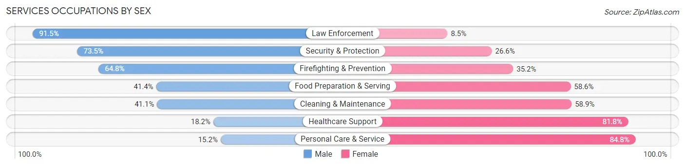 Services Occupations by Sex in Zip Code 98058