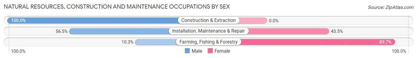 Natural Resources, Construction and Maintenance Occupations by Sex in Zip Code 98065