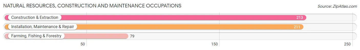 Natural Resources, Construction and Maintenance Occupations in Zip Code 98122