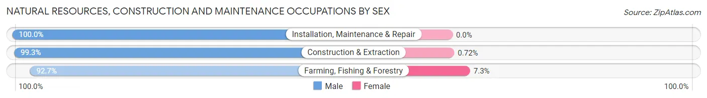 Natural Resources, Construction and Maintenance Occupations by Sex in Zip Code 98272
