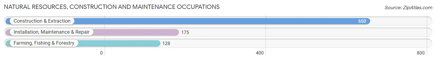 Natural Resources, Construction and Maintenance Occupations in Zip Code 98274