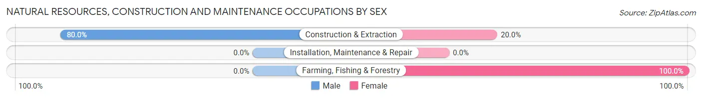 Natural Resources, Construction and Maintenance Occupations by Sex in Zip Code 98286