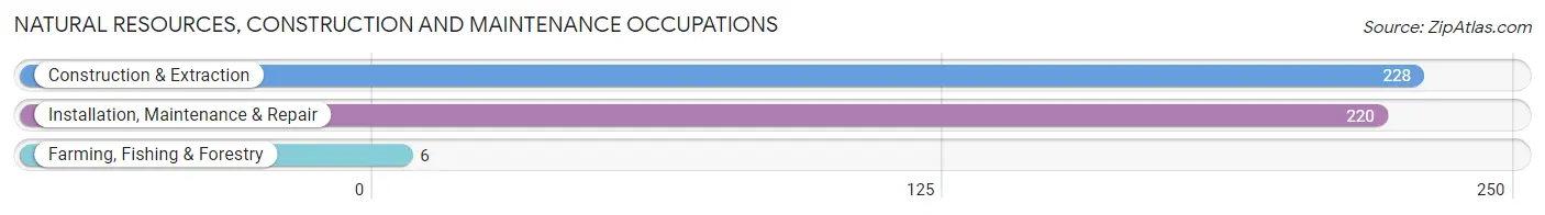 Natural Resources, Construction and Maintenance Occupations in Zip Code 98294