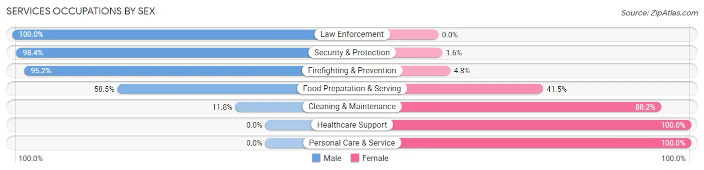 Services Occupations by Sex in Zip Code 98295