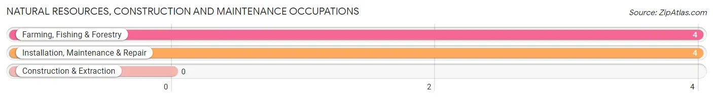 Natural Resources, Construction and Maintenance Occupations in Zip Code 98297